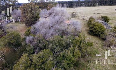 Campo en San Miguel del Monte