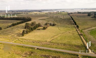 Campo en San Miguel del Monte