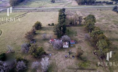 Campo en San Miguel del Monte