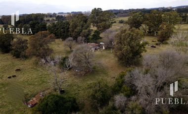 Campo en San Miguel del Monte