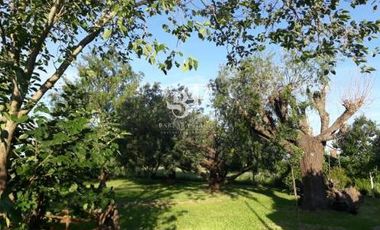 Casa - Arroyo Aguiar