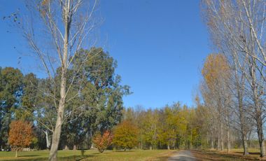Casa a la venta en  Estancias Las Lilas, lujan