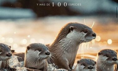Terreno en venta en Atotonilco