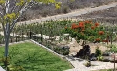 Terreno en venta en Atotonilco