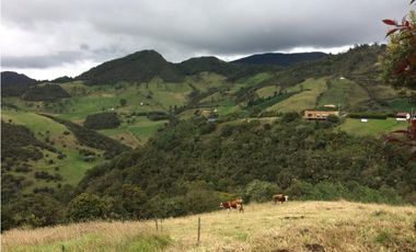 VENDO CASA CAMPESTRE EN PARCELACIÓN - LA CALERA  SANTA HELENA - URGEME