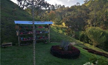 Finca San Vicente Vereda Chaparral
