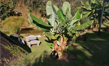 Finca San Vicente Vereda Chaparral