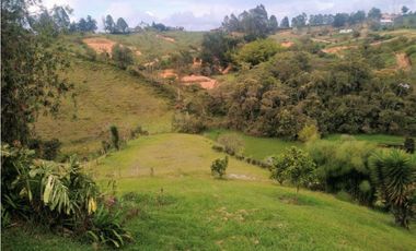 Finca Vía Rionegro - El Carmen Viboral