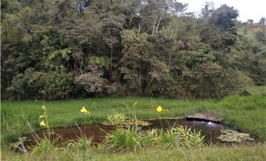 Finca Vía Rionegro - El Carmen Viboral