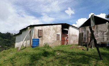 Venta Finca  en Guayabal.