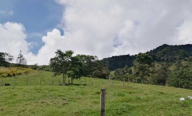 Venta Finca  en Guayabal.