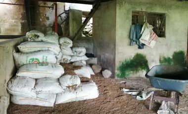 Venta Finca  en Guayabal.