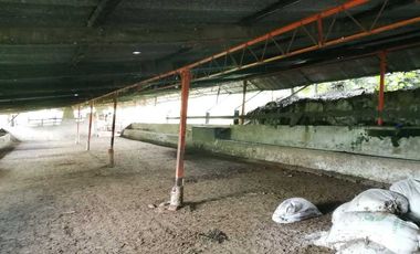 Venta Finca  en Guayabal.