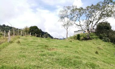 Venta Finca  en Guayabal.