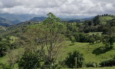 Venta Finca  en Guayabal.