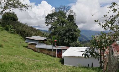 Venta Finca  en Guayabal.