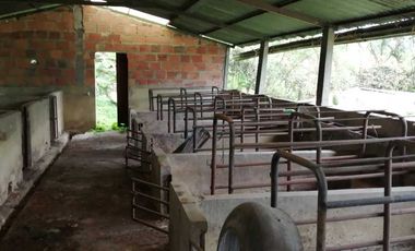 Venta Finca  en Guayabal.