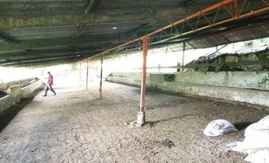 Venta Finca  en Guayabal.