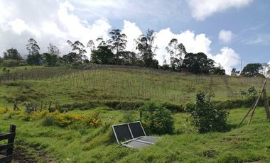 Venta Finca  en Guayabal.