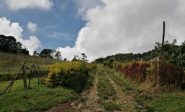 Venta Finca  en Guayabal.