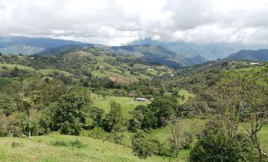 Venta Finca  en Guayabal.