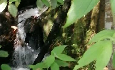 Venta Finca  en Guayabal.