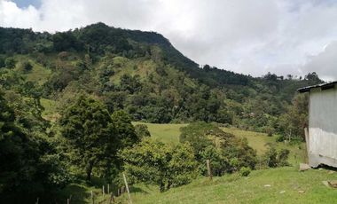 Venta Finca  en Guayabal.