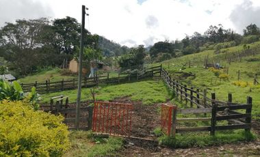 Venta Finca  en Guayabal.