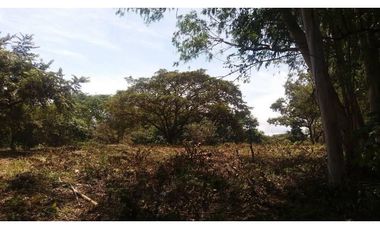 Venta: terreno en Punta Barco, San José