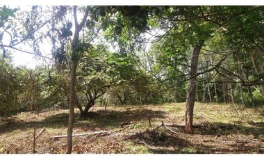 Venta: terreno en Punta Barco, San José