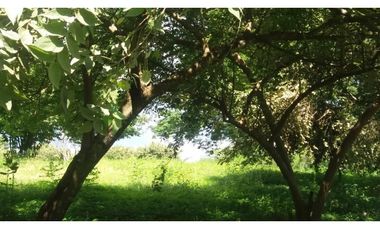 Venta: Terreno Hacienda Las Lagartijas, San Jose