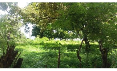 Venta: Terreno Hacienda Las Lagartijas, San Jose