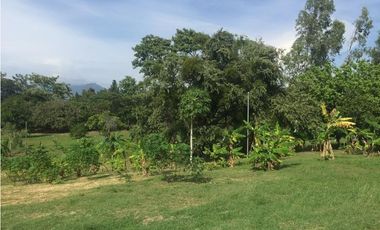 Venta: Terreno con casa en Las Lajas (Cabuya)