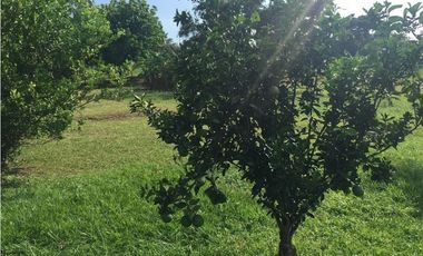 Venta: Terreno con casa en Las Lajas (Cabuya)