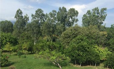 Venta: Terreno con casa en Las Lajas (Cabuya)