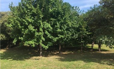 Venta: Terreno con casa en Las Lajas (Cabuya)