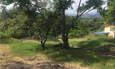 Venta: Terreno con casa en Las Lajas (Cabuya)