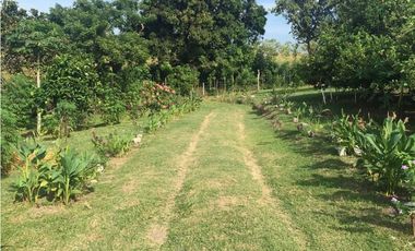 Venta: Terreno con casa en Las Lajas (Cabuya)