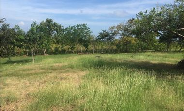 Venta: Terreno con casa en Las Lajas (Cabuya)