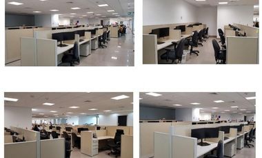 Alquiler: Piso de oficinas en Towerbank, Calle 50