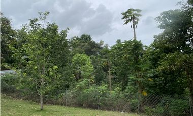 Venta: Lote de 4hcts en La Ermita de san Carlos con Casa y Cabañas