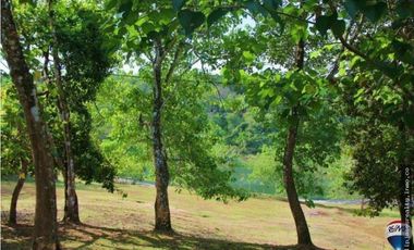 Venta: Lote en Brisas de los Lagos, La Chorrera