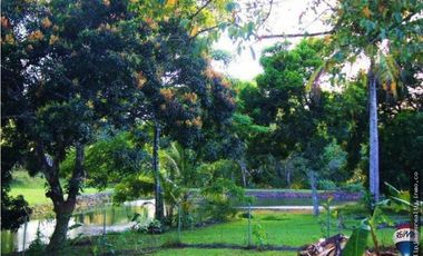 Venta: Lote en Brisas de los Lagos, La Chorrera
