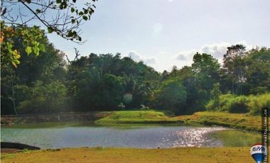 Venta: Lote en Brisas de los Lagos, La Chorrera
