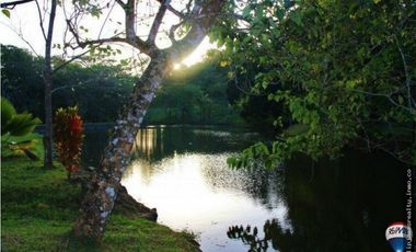Venta: Lote en Brisas de los Lagos, La Chorrera