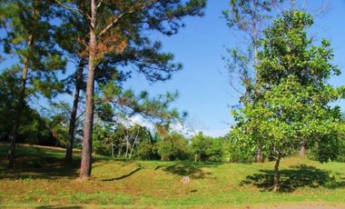 Venta de Lote en Brisas de los Lagos, La Chorrera