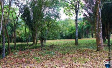 Venta: Lote en Brisas de los Lagos, La Chorrera