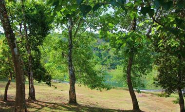 Venta de Lote en Brisas de los Lagos, La Chorrera