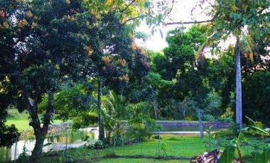 Venta de Lote en Brisas de los Lagos, La Chorrera