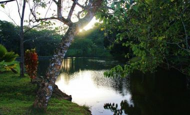 Venta de Lote en Brisas de los Lagos, La Chorrera